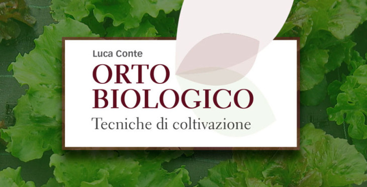 L'orto biologico per un cibo buono, pulito e giusto