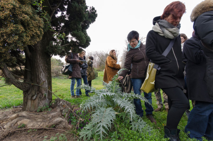 Corso di riconoscimento erbe spontanee Castello Quistini