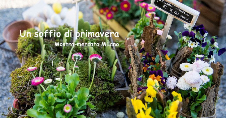Un soffio di primavera Mostra mercato di piante e fiori